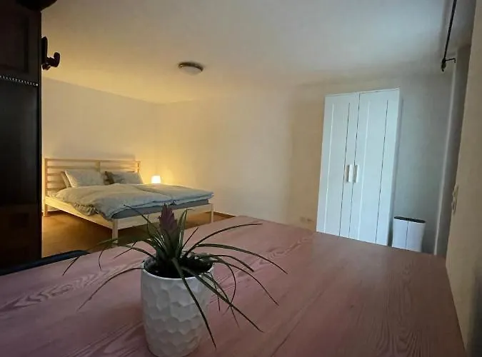 Creek's Cave - The Paradise For Climbers Daire